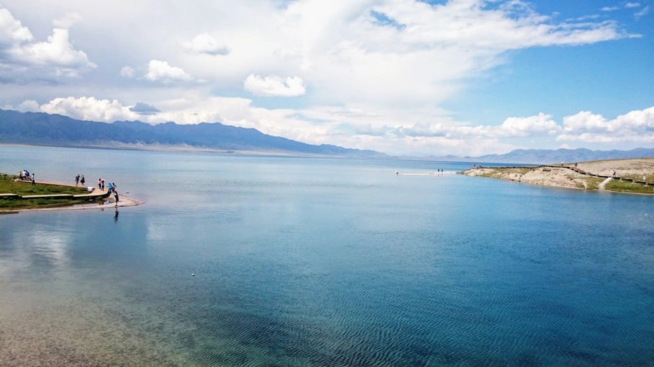 🌳 시라사기 삼림공원(시라사기신린코엔) 이미지 1